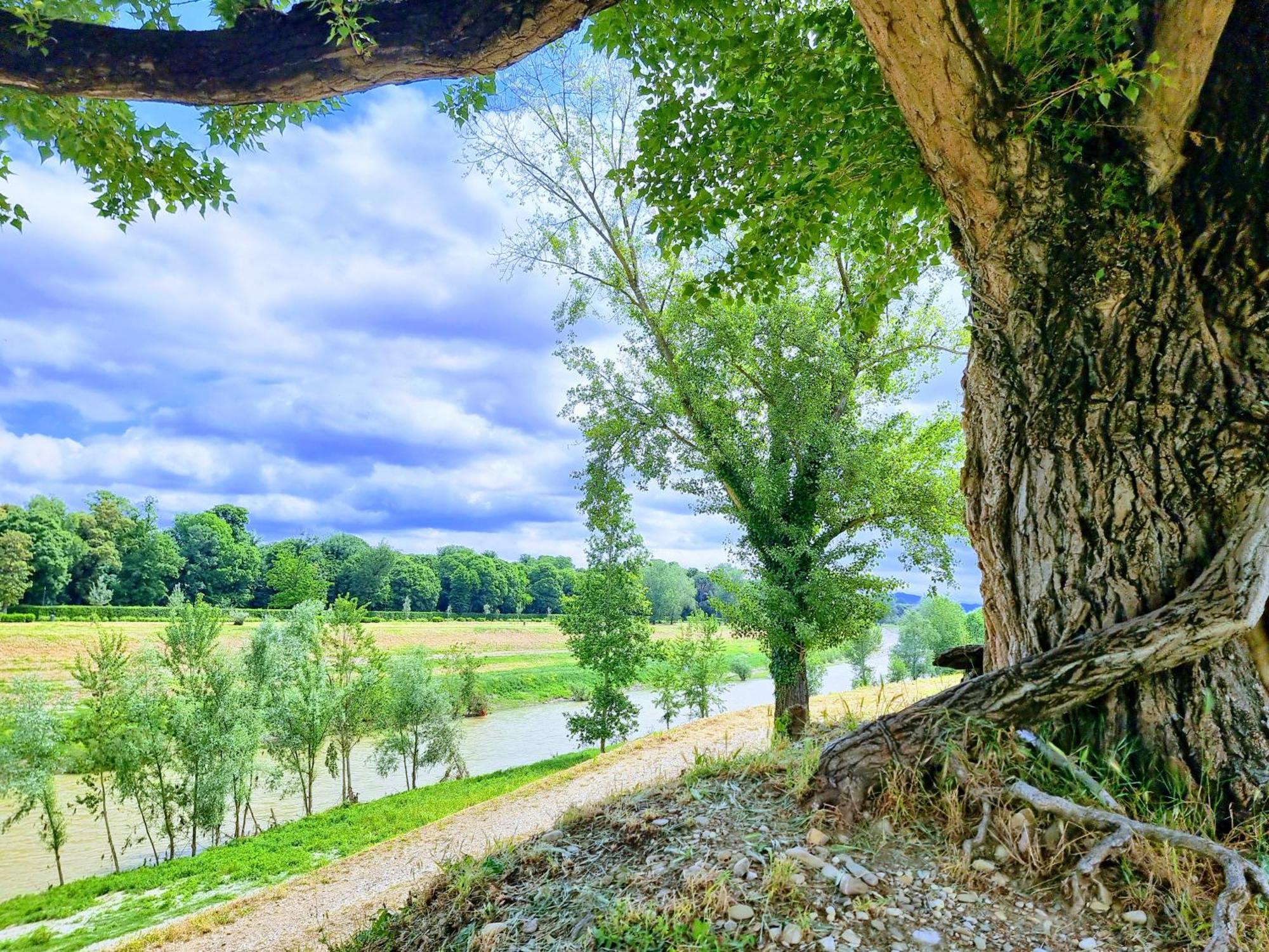 Laura B & B Floransa Dış mekan fotoğraf